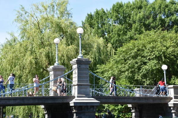 Boston Jun Public Garden Boston Massachusetts Visto Junio 2018 Parte —  Fotos de Stock