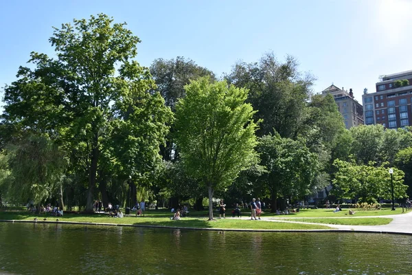 Boston Jun Public Garden Boston Massachusetts Visto Junio 2018 Parte —  Fotos de Stock