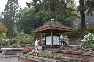 PORTLAND, OR - 20 AUG Portland, Oregon 'daki Uluslararası Gül Test Bahçesi, 20 Ağustos 2018' de görüldüğü gibi.