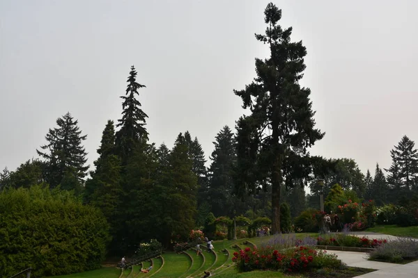Portland Aug Der Internationale Rosentestgarten Portland Oregon Vom Aug 2018 — Stockfoto