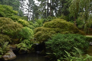 Portland, Oregon Ağustos 20: Portland Oregon'da, 20 Ağustos 2018 üzerinde görüldüğü gibi Japon Bahçesi. Bir geleneksel Japon Bahçesi Washington Parkı içinde yer alan 12 dönüm arazi işgal olduğunu.