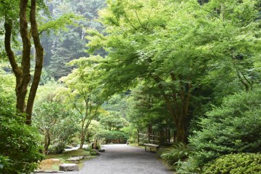 Portland, Oregon Ağustos 20: Portland Oregon'da, 20 Ağustos 2018 üzerinde görüldüğü gibi Japon Bahçesi. Bir geleneksel Japon Bahçesi Washington Parkı içinde yer alan 12 dönüm arazi işgal olduğunu.