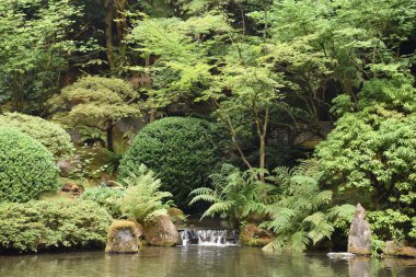 Portland, Oregon Ağustos 20: Portland Oregon'da, 20 Ağustos 2018 üzerinde görüldüğü gibi Japon Bahçesi. Bir geleneksel Japon Bahçesi Washington Parkı içinde yer alan 12 dönüm arazi işgal olduğunu.