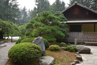 Portland, Oregon Ağustos 20: Portland Oregon'da, 20 Ağustos 2018 üzerinde görüldüğü gibi Japon Bahçesi. Bir geleneksel Japon Bahçesi Washington Parkı içinde yer alan 12 dönüm arazi işgal olduğunu.