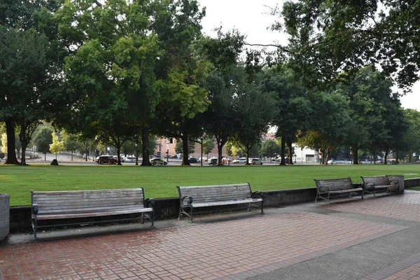 Portland Oregon Aug Tom Mccall Waterfront Park Portland Oregon Mint — Stock Fotó