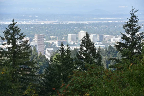 Vista Portland Oregon Desde Council Crest Park — Foto de Stock