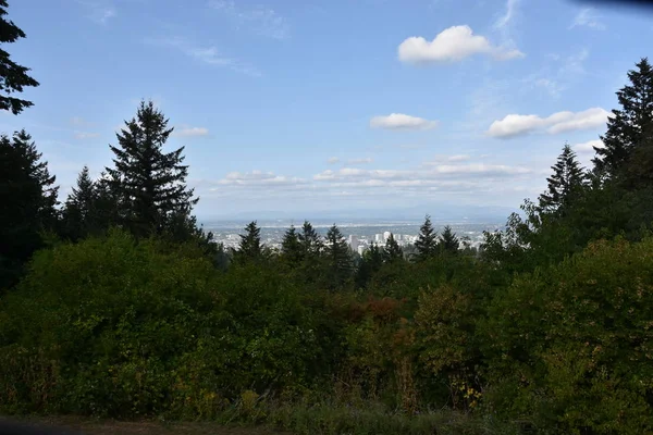 Vista Portland Oregon Desde Council Crest Park — Foto de Stock