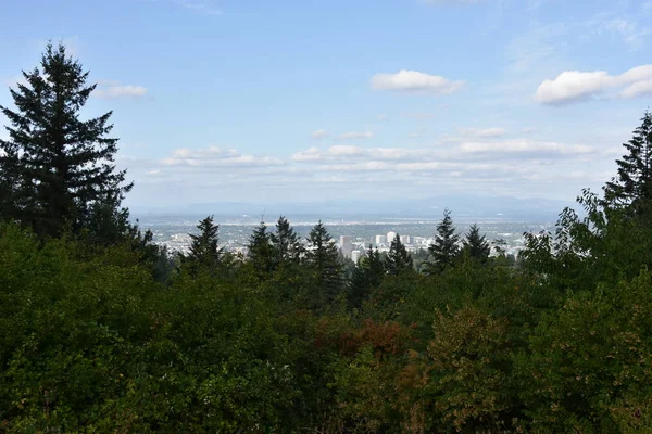 Blick Auf Portland Oregon Vom Council Crest Park — Stockfoto