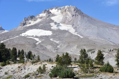 Oregon 'da başlık