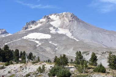 Oregon 'da başlık