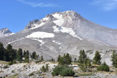 Oregon 'da başlık