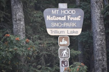 Mount Hood Oregon Trillium Gölü