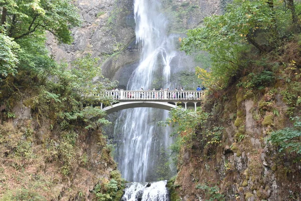 Chutes Multnomah Columbia River Gorge Oregon — Photo