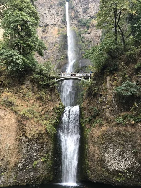 Cascate Multnomah Columbia River Gorge Oregon — Foto Stock