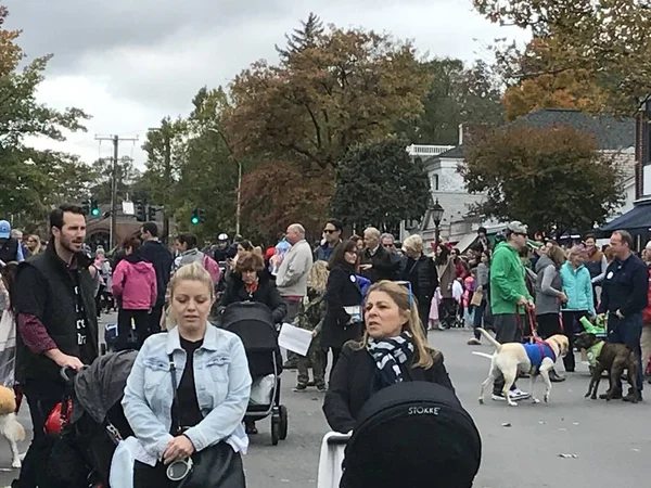 Yeni Canaan, Ct - Eki 28: Yıllık Cadılar Bayramı Geçit Töreni ve Trick-Or-Treating Yeni Canaan, Connecticut, görüldüğü gibi Ekim 28, 2018.