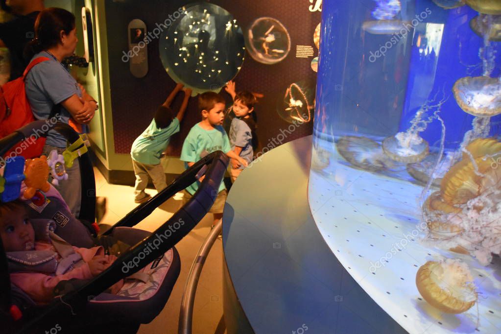 LONG BEACH, CA - OCT 19: Aquarium of the Pacific in Long Beach, California, as seen on Oct 19, 2018.