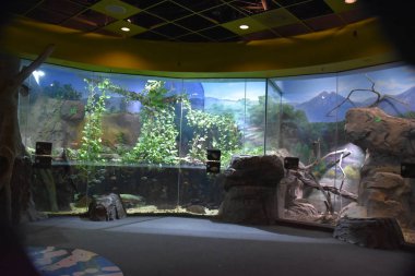 LOS ANGELES, CA - 18 Ekim 2018 'de görüldüğü gibi Los Angeles Hayvanat Bahçesi.