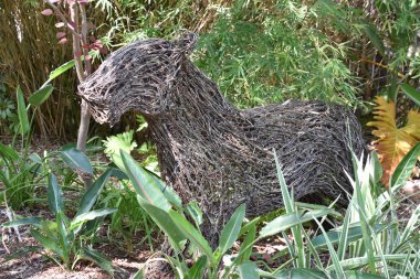 SAN DIEGO, CALIFORNIA - 24 Ekim 2018 'de görüldüğü gibi, Escondido, Kaliforniya' daki San Diego Hayvanat Bahçesi Safari Parkı. San Diego 'nun en büyük turistik merkezlerinden biridir..