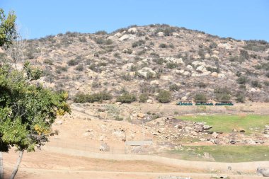 SAN DIEGO, CALIFORNIA - 24 Ekim 2018 'de görüldüğü gibi, Escondido, Kaliforniya' daki San Diego Hayvanat Bahçesi Safari Parkı. San Diego 'nun en büyük turistik merkezlerinden biridir..