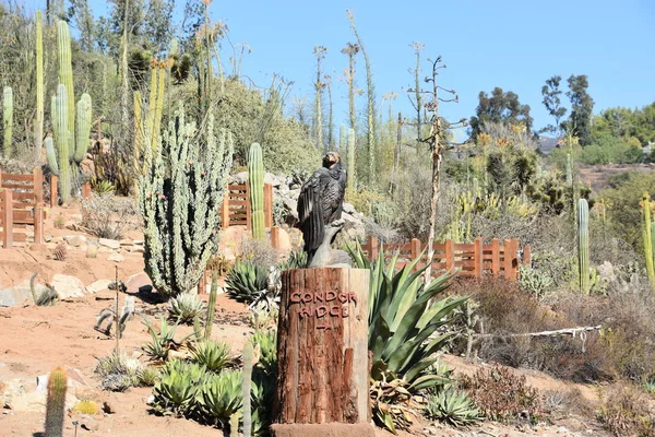 San Diego Kalifornia Październik San Diego Zoo Safari Park Escondido — Zdjęcie stockowe