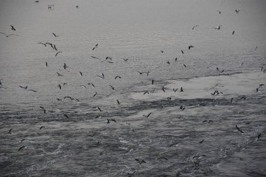 ENSENADA, MEXICO - 25 Ekim 2018 'de görüldüğü üzere, Baja Mexico' nun kıyı şehri Ensenada.