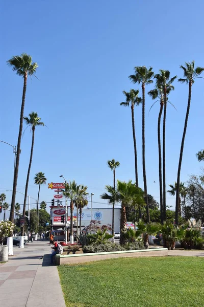 Ensenada Mexico Ekim 2018 Görüldüğü Üzere Baja Mexico Nun Kıyı — Stok fotoğraf