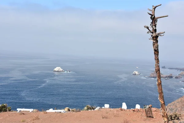 Blick Auf Die Ensenada Mexiko — Stockfoto