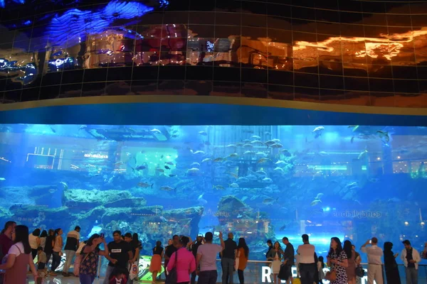 Dubai Emiratos Árabes Unidos Dic Acuario Dubai Mall Dubai Emiratos — Foto de Stock