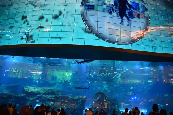 ドバイ アラブ首長国連邦 12月8日 2018年12月8日に見られるように ドバイ アラブ首長国連邦のドバイモールの水族館 200万平方フィートを超える世界最大のショッピングモールで 総面積で6番目に大きい — ストック写真