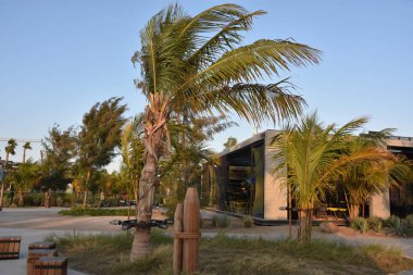 Dubai, Bae - 11 Aralık: La Mer Dubai, Bae, 11 Aralık 2018 tarihinde görüldüğü gibi. Bu Jumeirah alışveriş ve restoranlar ile yeni bir sahil bölgesidir.