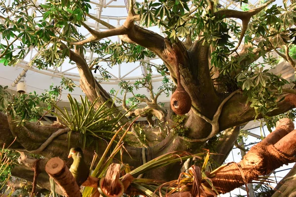 Dubai Émirats Arabes Unis Dec Planète Verte Dubaï Émirats Arabes — Photo