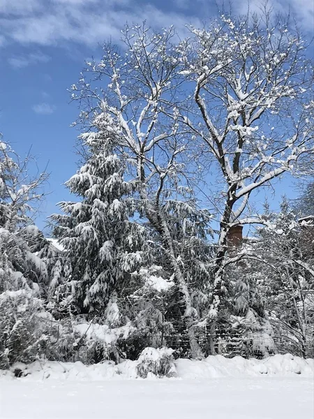 Снежный День Коннектикуте — стоковое фото