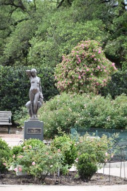 18 Nisan 2019 'da Houston, Teksas' taki Hermann Park 'taki McGovern Centennial Gardens' ta görüldü..