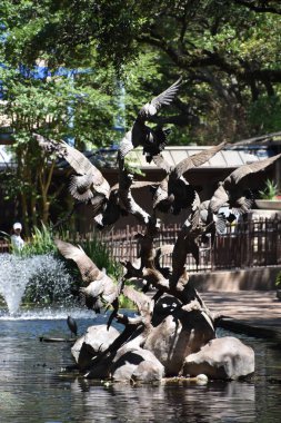 Houston Hayvanat Bahçesi, 18 Nisan 2019 'da Houston, Teksas' taki Hermann Park 'ta görüldüğü gibi. Amerika Birleşik Devletleri 'nde en çok ziyaret edilen ikinci hayvanat bahçesi..