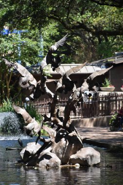 Houston Hayvanat Bahçesi, 18 Nisan 2019 'da Houston, Teksas' taki Hermann Park 'ta görüldüğü gibi. Amerika Birleşik Devletleri 'nde en çok ziyaret edilen ikinci hayvanat bahçesi..