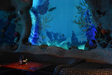 21 Nisan 2019 'da Houston, Teksas yakınlarındaki Kemah Boardwalk' taki Akvaryum Restoranı 'nda görüldü..
