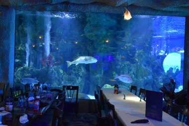 21 Nisan 2019 'da Houston, Teksas yakınlarındaki Kemah Boardwalk' taki Akvaryum Restoranı 'nda görüldü..