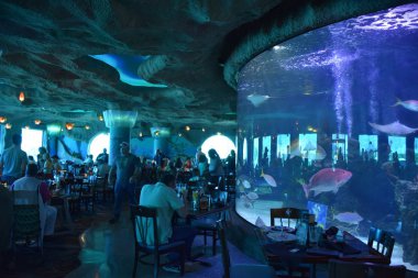21 Nisan 2019 'da Houston, Teksas yakınlarındaki Kemah Boardwalk' taki Akvaryum Restoranı 'nda görüldü..