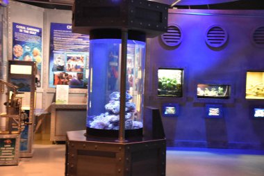 22 Nisan 2019 'da görüldüğü üzere Houston, Teksas' taki şehir merkezi akvaryumu. Sahibi ve işletmecisi Landry Şirketi..