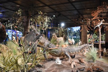 HOUSTON, TX - 22 Nisan 2019 'da Houston Doğal Bilim Müzesi Houston, Teksas' taki Hermann Park 'ta görüldü..