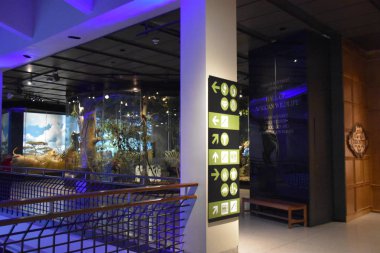 HOUSTON, TX - 22 Nisan 2019 'da Houston Doğal Bilim Müzesi Houston, Teksas' taki Hermann Park 'ta görüldü..