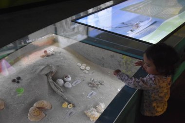 HOUSTON, TX - 22 Nisan 2019 'da Houston Doğal Bilim Müzesi Houston, Teksas' taki Hermann Park 'ta görüldü..