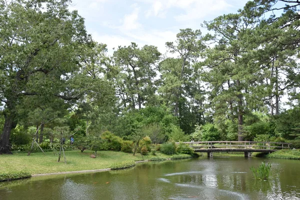 Houston Teksas Taki Hermann Park Japon Bahçesi — Stok fotoğraf