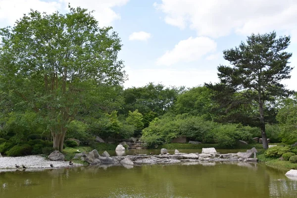 Japansk Trädgård Vid Hermann Park Houston Texas — Stockfoto