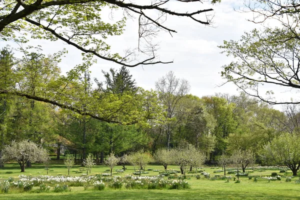 Parque Irwin New Canaan Connecticut — Fotografia de Stock