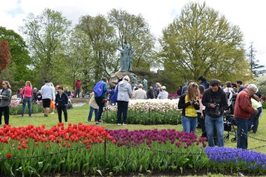 Albany, Ny - 11 Mayıs: 11 Mayıs 2019'da New York Eyaletinin Albany kentindeki Washington Park'ta düzenlenen 2019 Lale Festivali. İlk Lale Festivali 14 Mayıs 1949'da kutlandı ve her yıl düzenlenen bir etkinliktir..