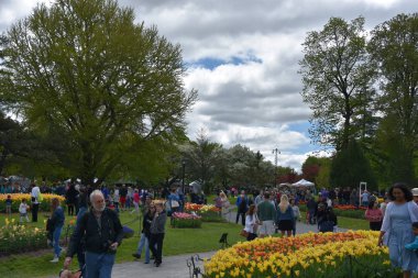 Albany, Ny - 11 Mayıs: 11 Mayıs 2019'da New York Eyaletinin Albany kentindeki Washington Park'ta düzenlenen 2019 Lale Festivali. İlk Lale Festivali 14 Mayıs 1949'da kutlandı ve her yıl düzenlenen bir etkinliktir..