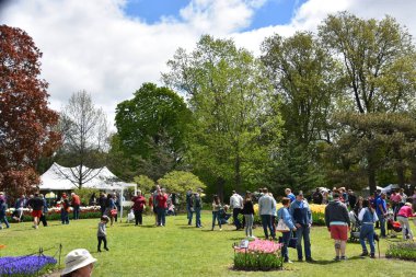 Albany, Ny - 11 Mayıs: 11 Mayıs 2019'da New York Eyaletinin Albany kentindeki Washington Park'ta düzenlenen 2019 Lale Festivali. İlk Lale Festivali 14 Mayıs 1949'da kutlandı ve her yıl düzenlenen bir etkinliktir..