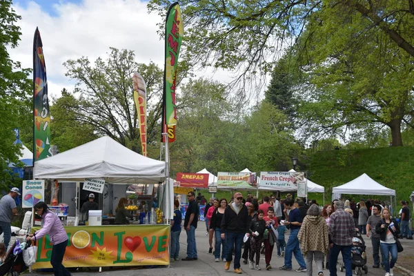 Albany Maj 2019 Tulip Festival Washington Park Albany New York — Stockfoto