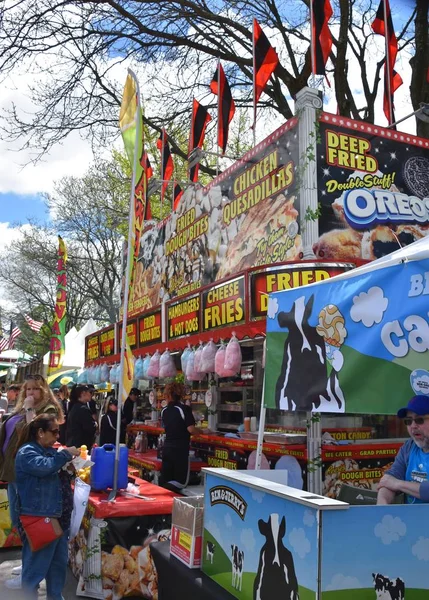 Albany Maj 2019 Tulip Festival Washington Park Albany New York — Stockfoto